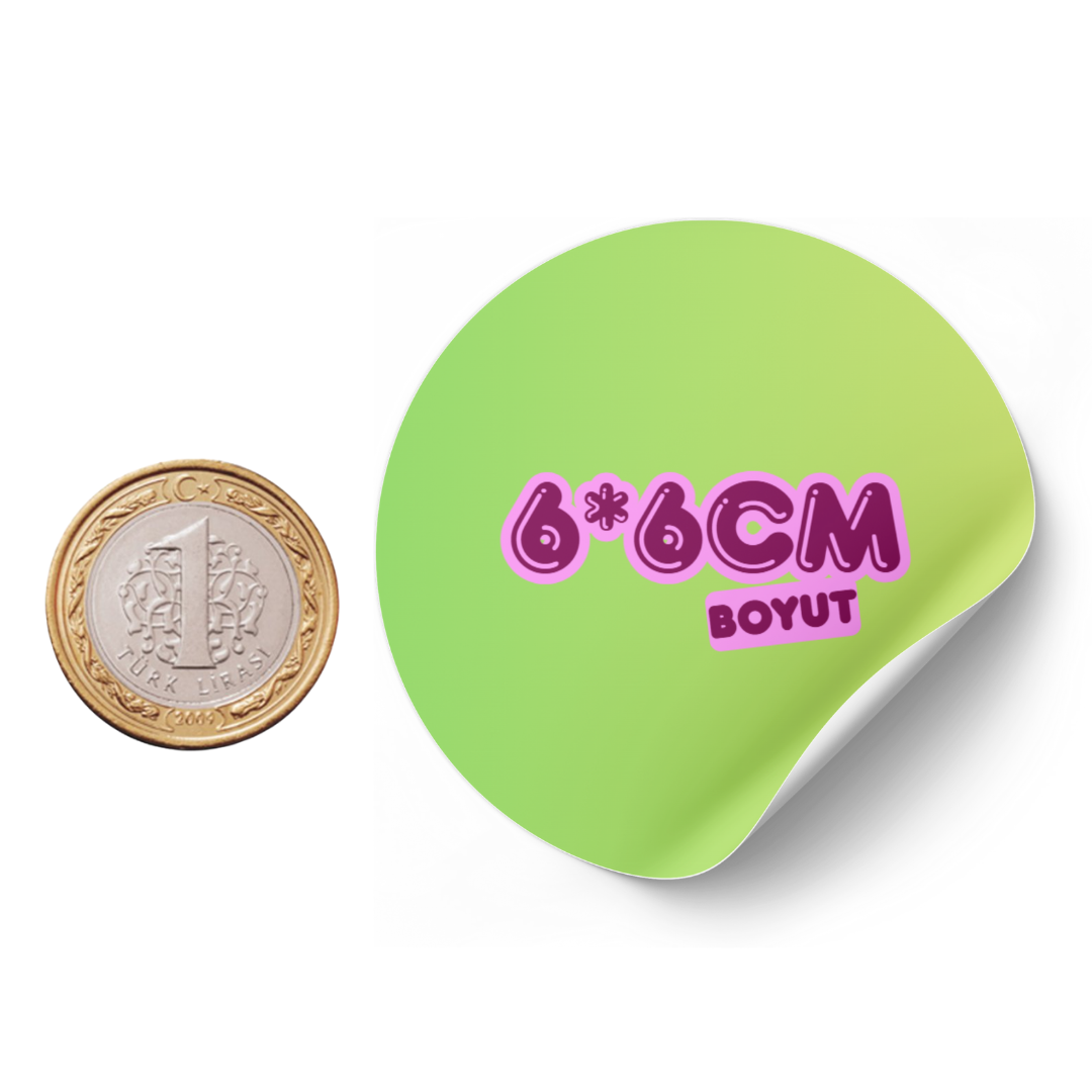 EN UYGUN 66 BOYUTLU ETİKET